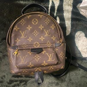 Louis Vuitton Palm Springs mini backpack